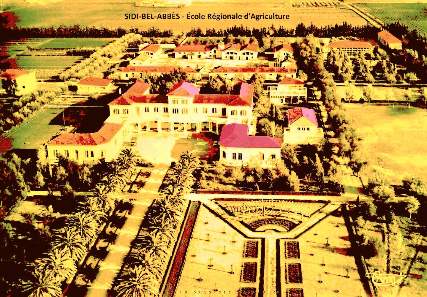 Sidi-bel-abbes - Ecole regionale d'agriculture.jpg